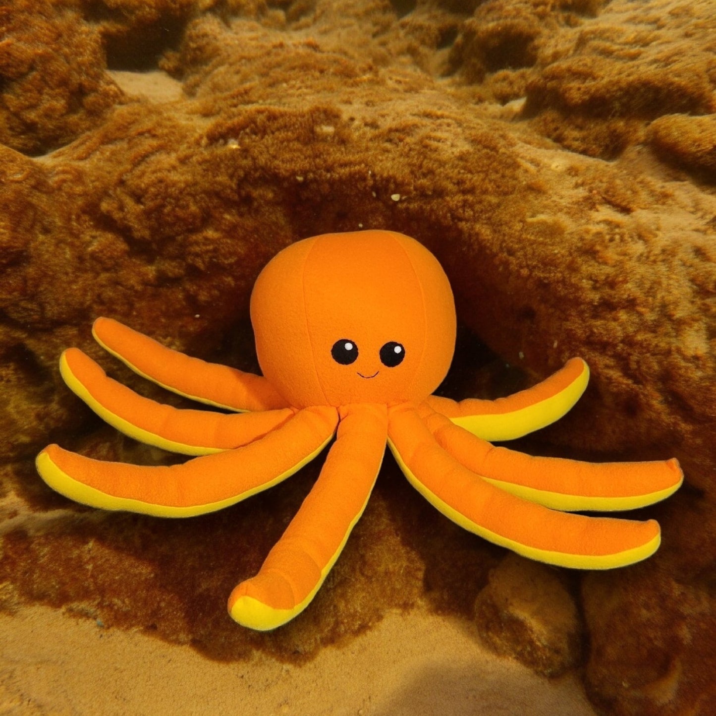 Octopus